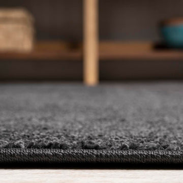 Haze Solid Low-pile Area Rug Black
